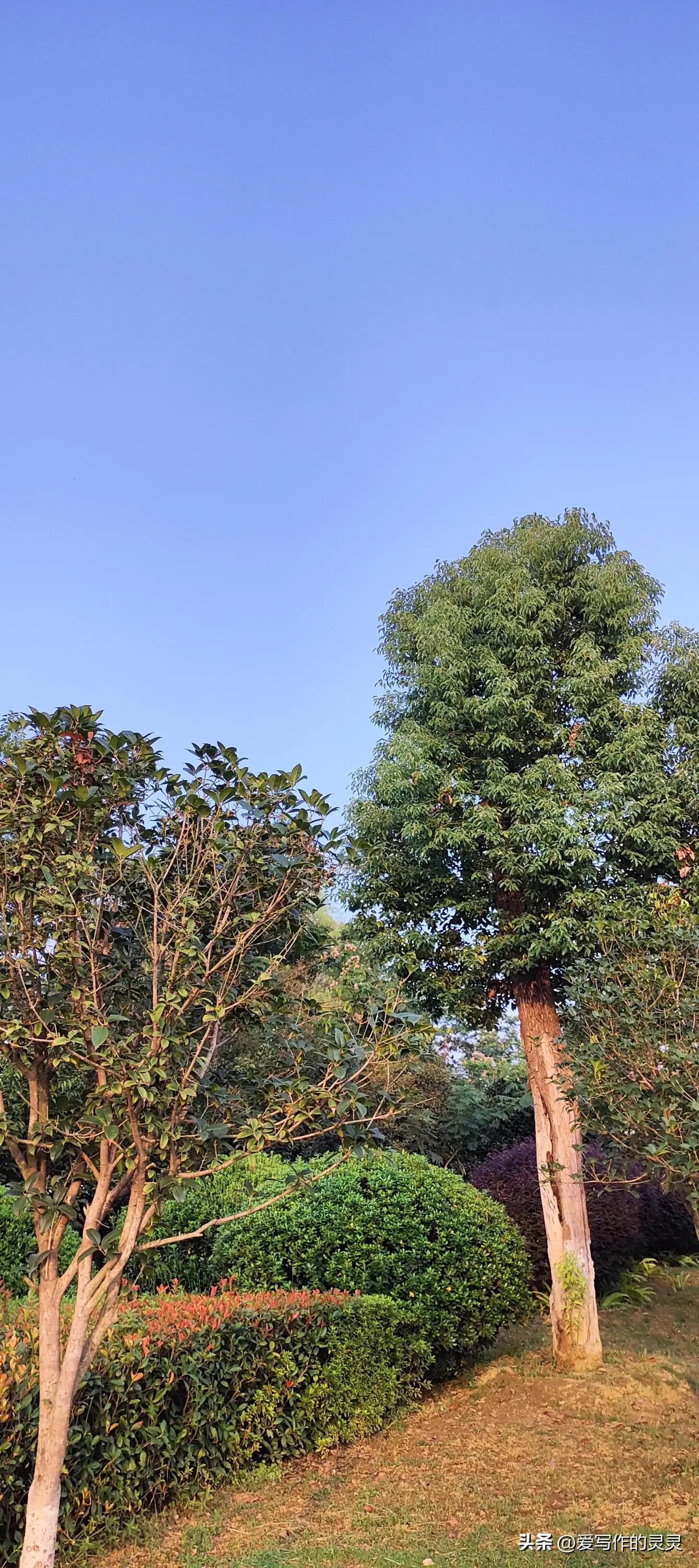 60岁妈妈的日常生活,60年代老妈日常