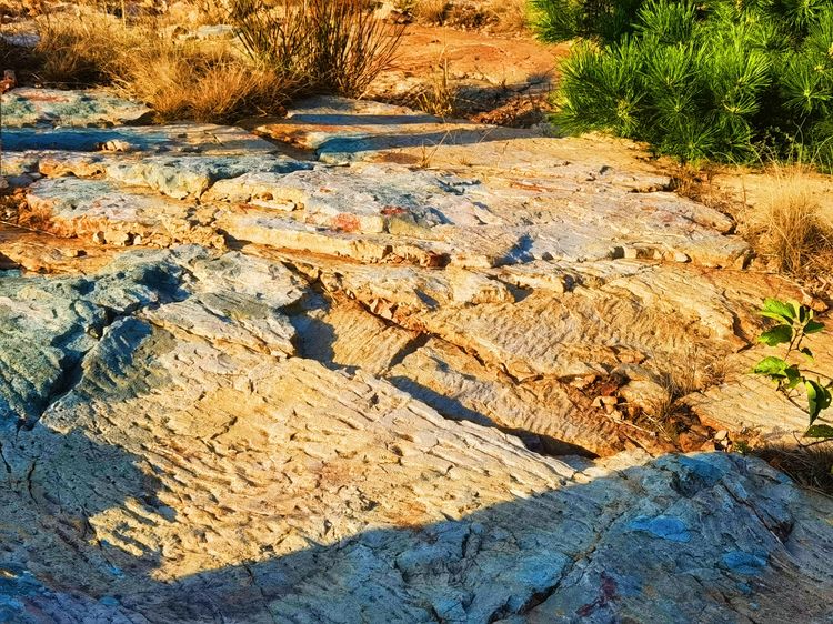 旅顺城山,旅顺城山怎么绕过去