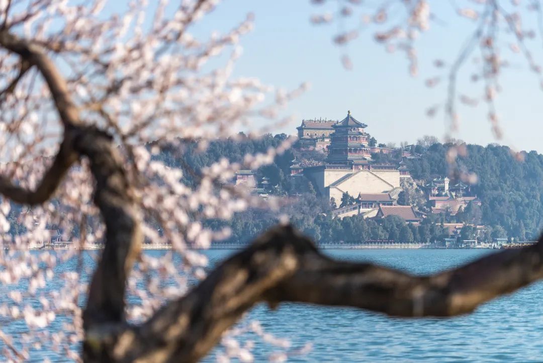 韪忓鍘嗗彶鏂囧寲鍚嶅煄,韪忓鍖椾含绾㈣壊鍗拌