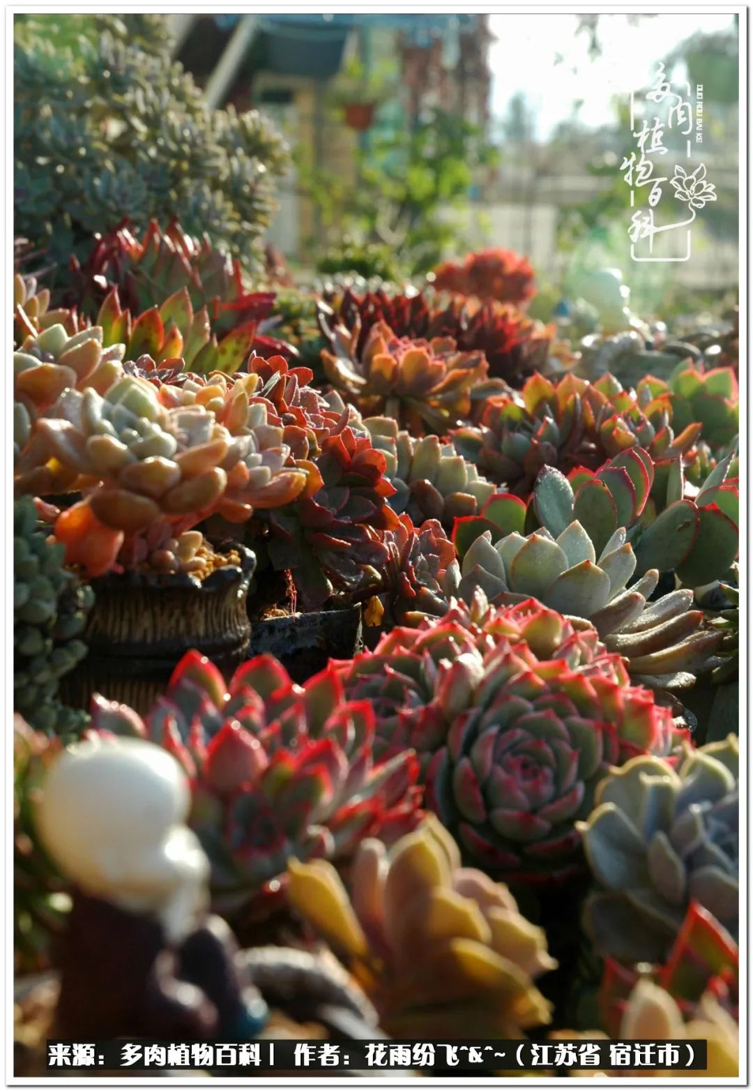 快乐的童年时光视频,回味快乐的童年美好的时光