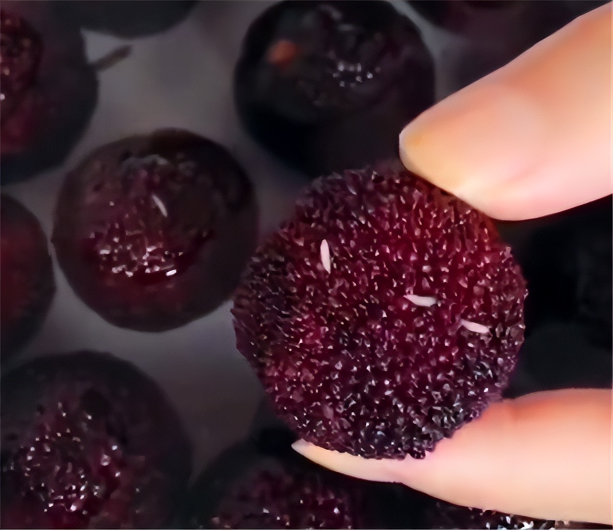 洗杨梅要放小苏打吗,杨梅有虫子吗怎么洗才洗干净