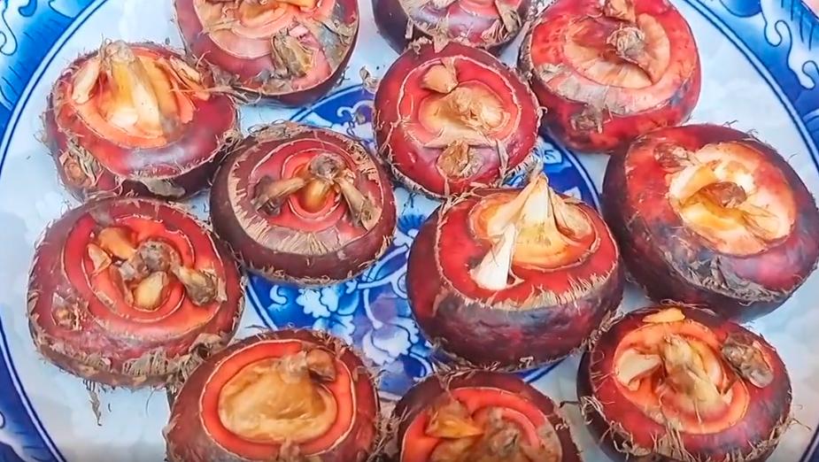 润肺养肺的食物老年人,一岁养肺补肺的食疗方法