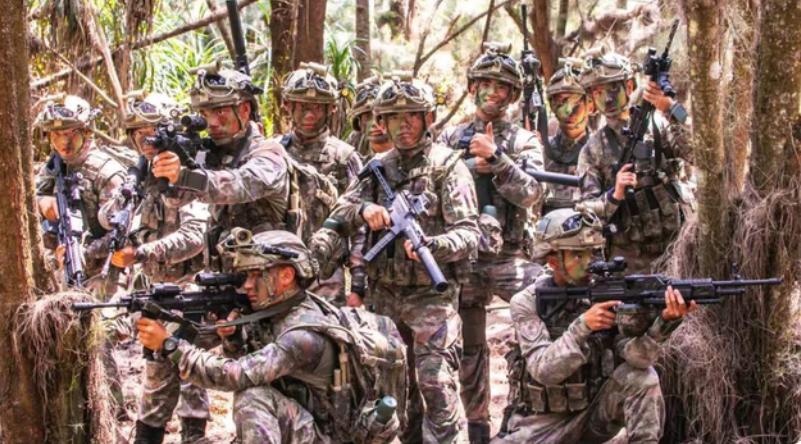 弹链供弹轻机枪,双弹匣供弹轻机枪