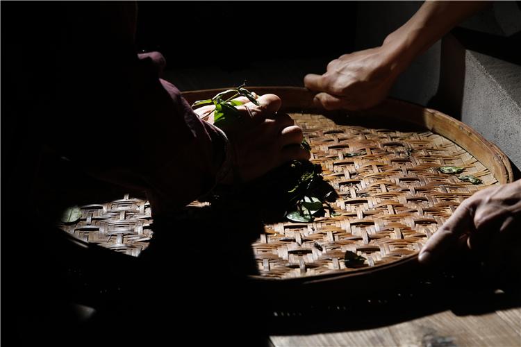 马头岩研究所,马头岩研究所茶叶测评