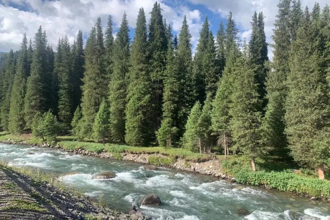 从伊犁出发的南北疆旅游攻略,火爆的新疆游