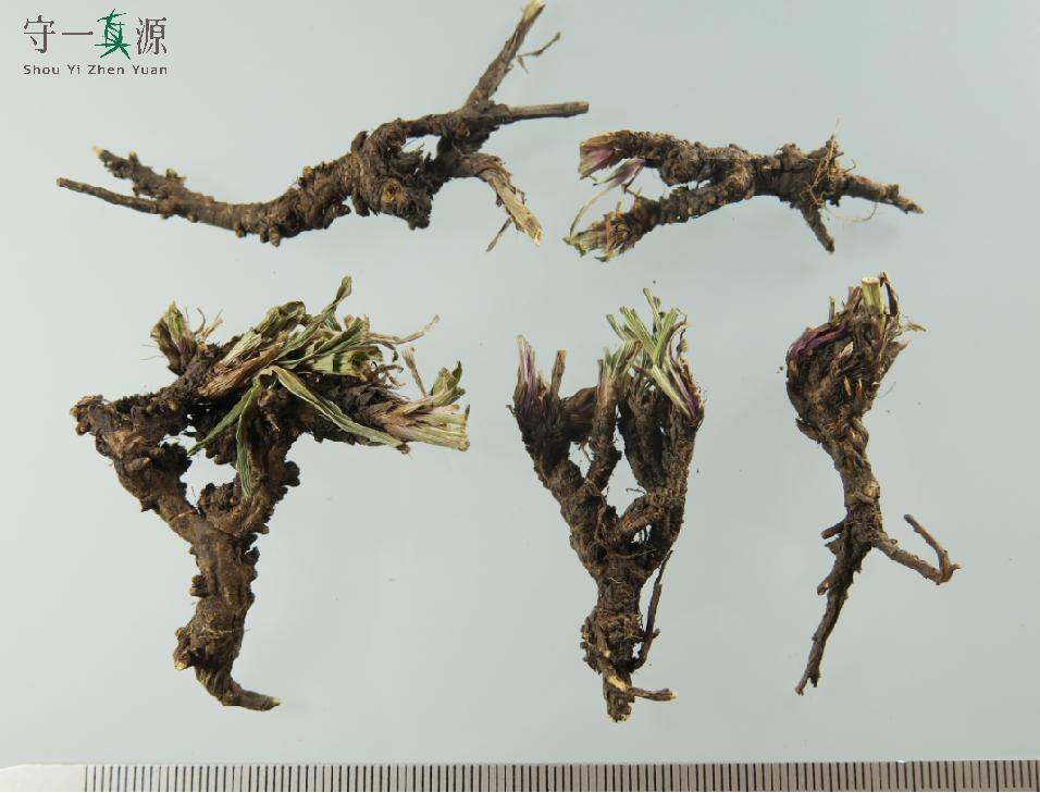 中药真伪鉴定案例,中药鉴定真假找谁