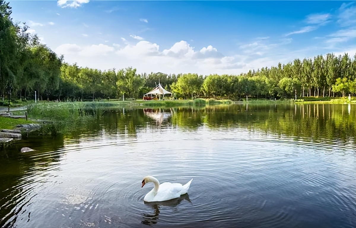 最容易迷路的大学,最容易迷路的城市排名