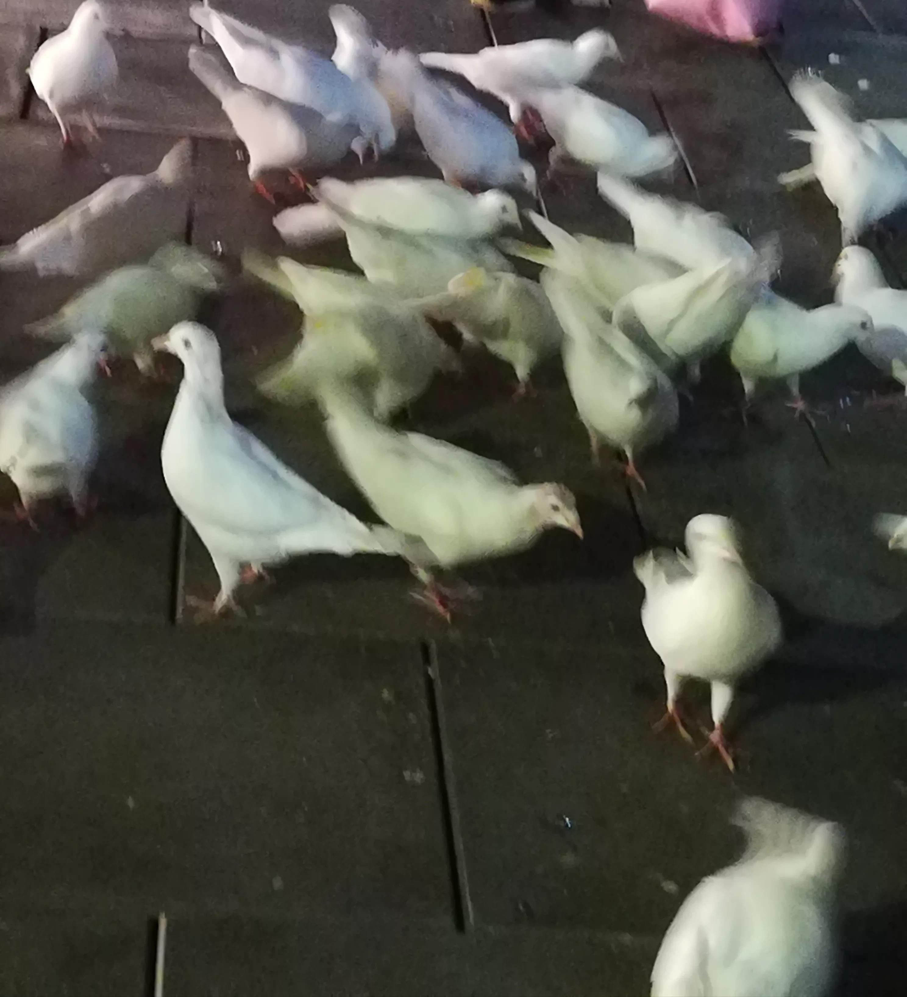 云南省昆明市1903公园