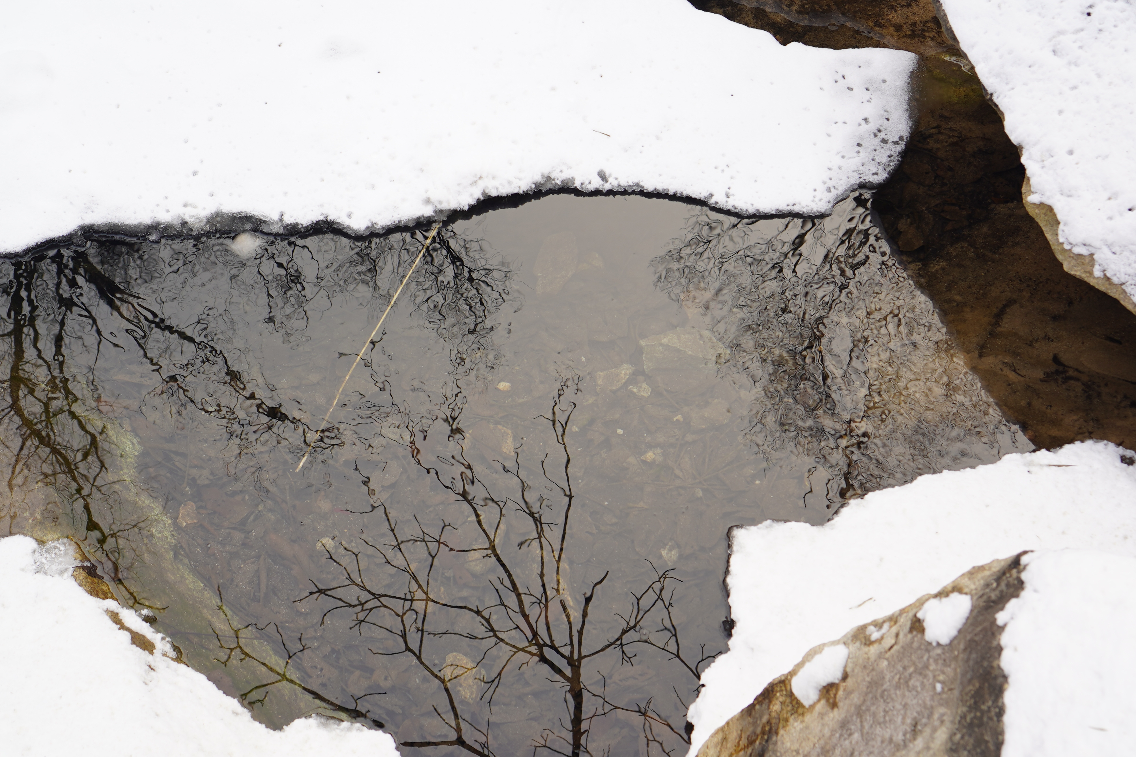 黑龙潭的景区特色,黑龙潭水下神秘洞穴