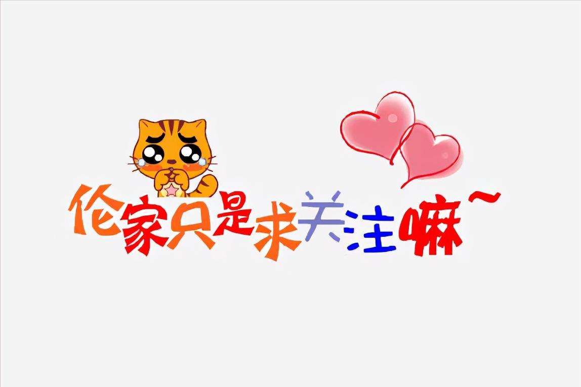 博美犬的饲养常识有哪些,博美犬优缺点有哪些表现