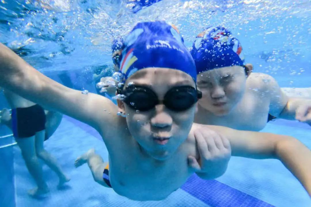 绿城的运动,绿城运动