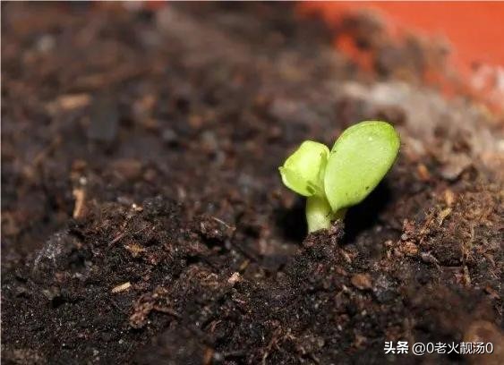 成功创业者的四大不传秘法,成功创业者应具备的知识和技能