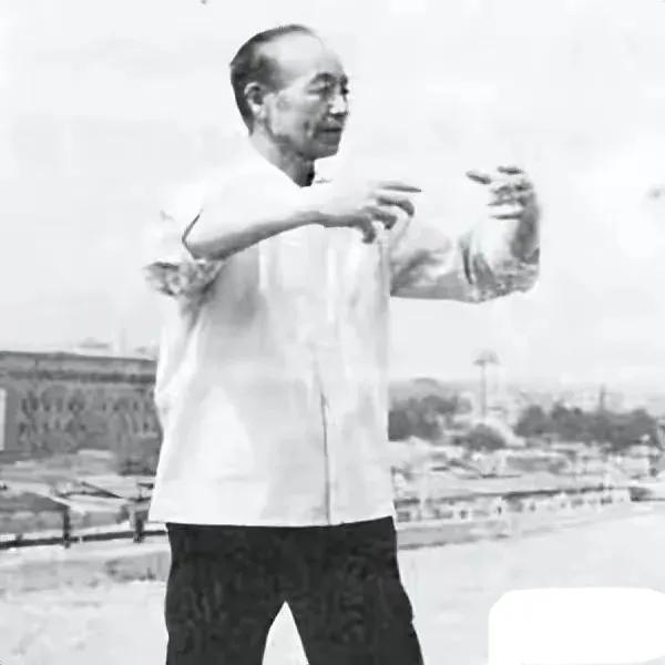 站桩练拳怎么打,站桩打拳