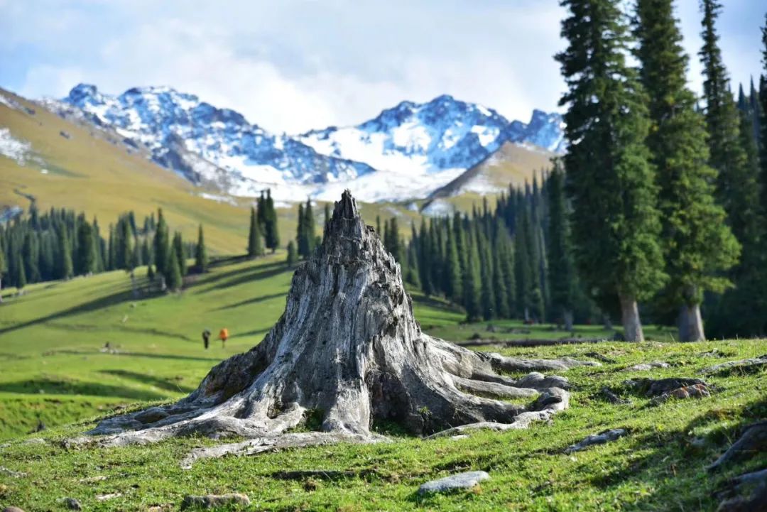 独库独行,独库南库