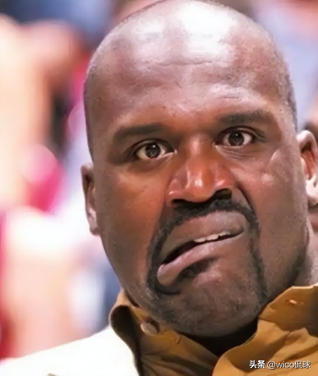 盘点NBA90年代“四大中锋”生涯对比：谁是你心中的No.1