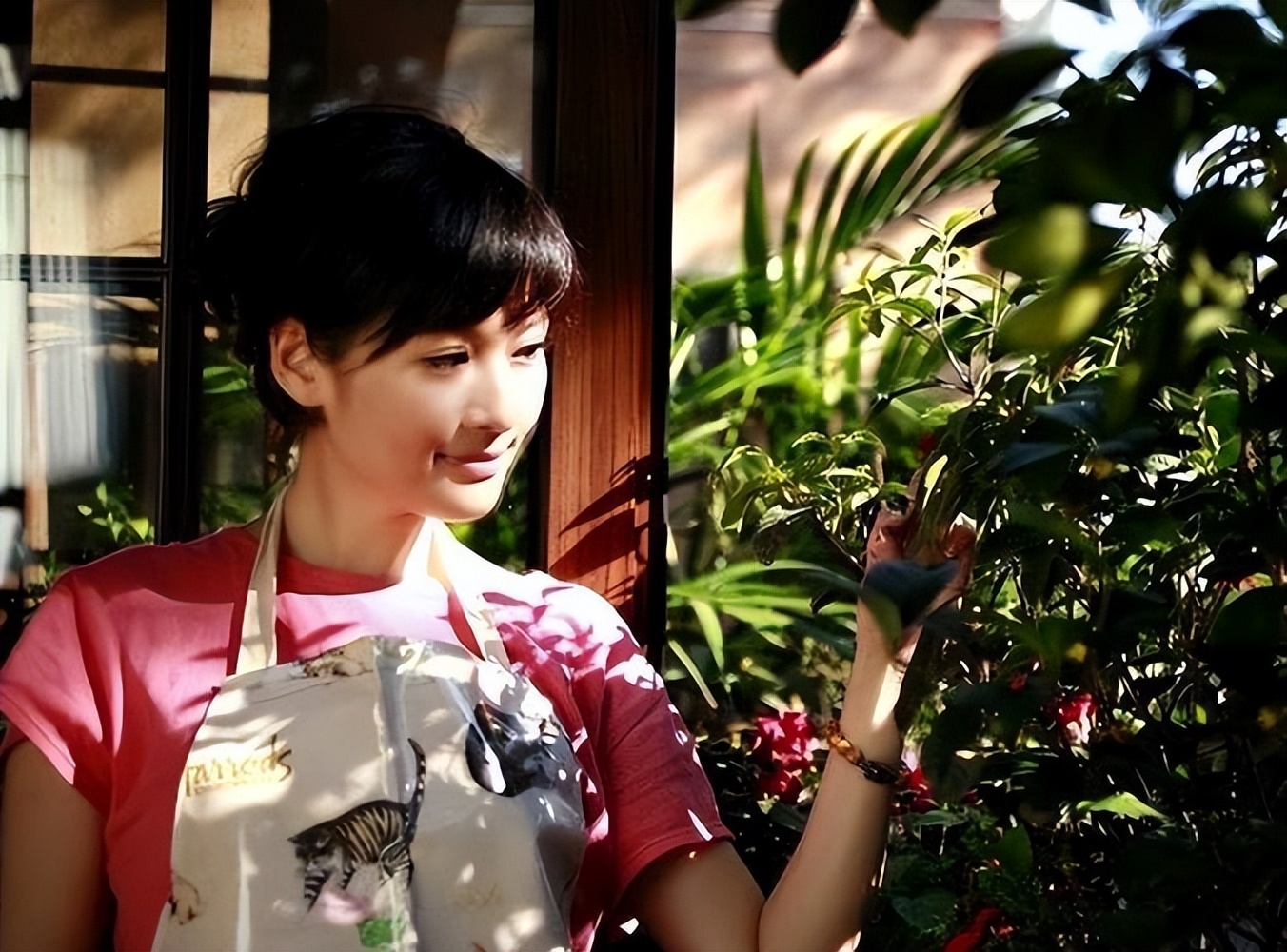 冯小刚恋上女主播,知名女主持与冯小刚