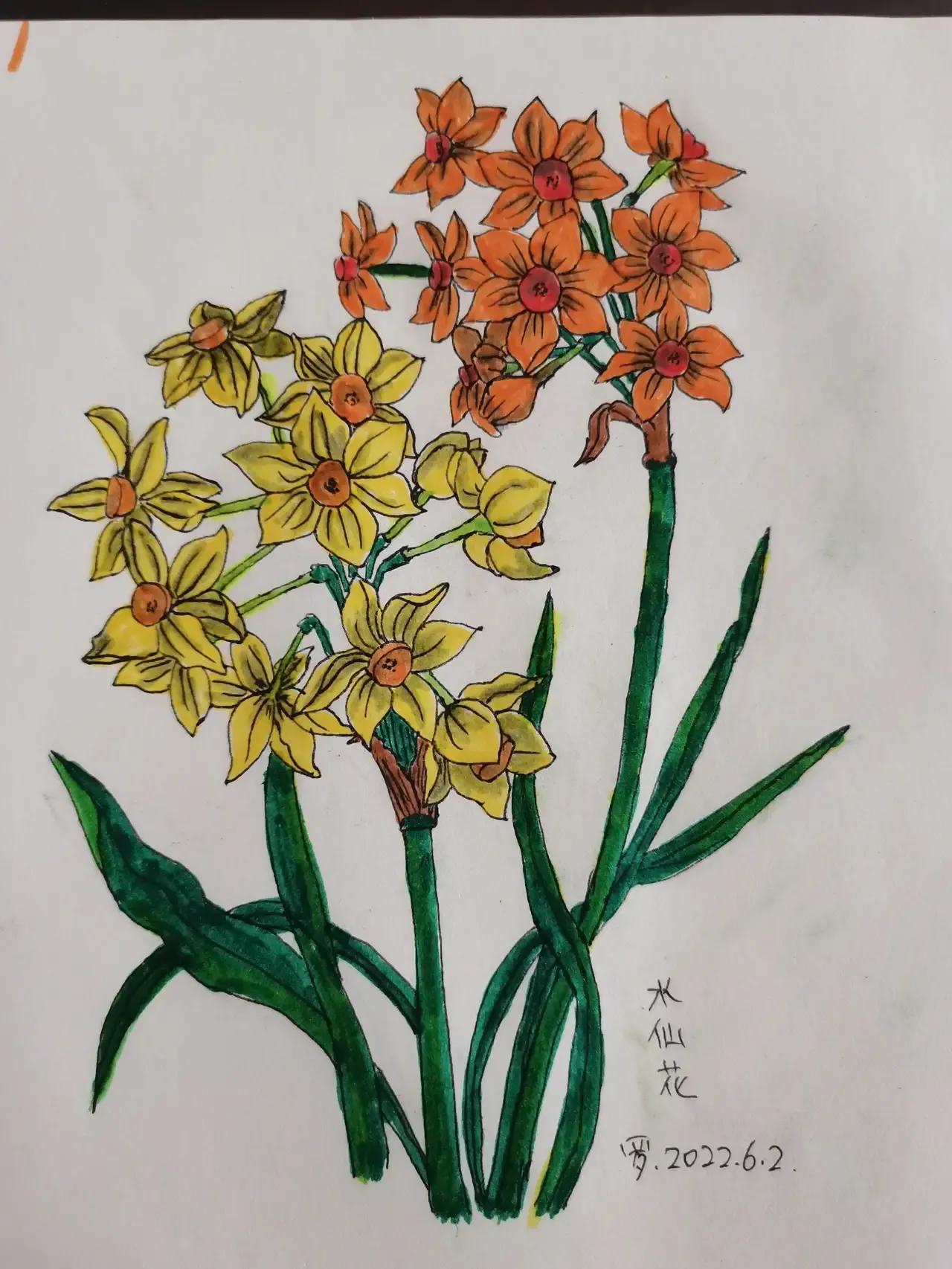 自学画画几年才有成果,自学画画一星期