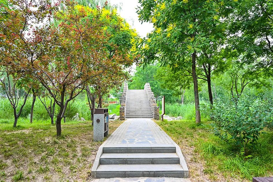 北京免费景美公园大全,北京这个公园也很美