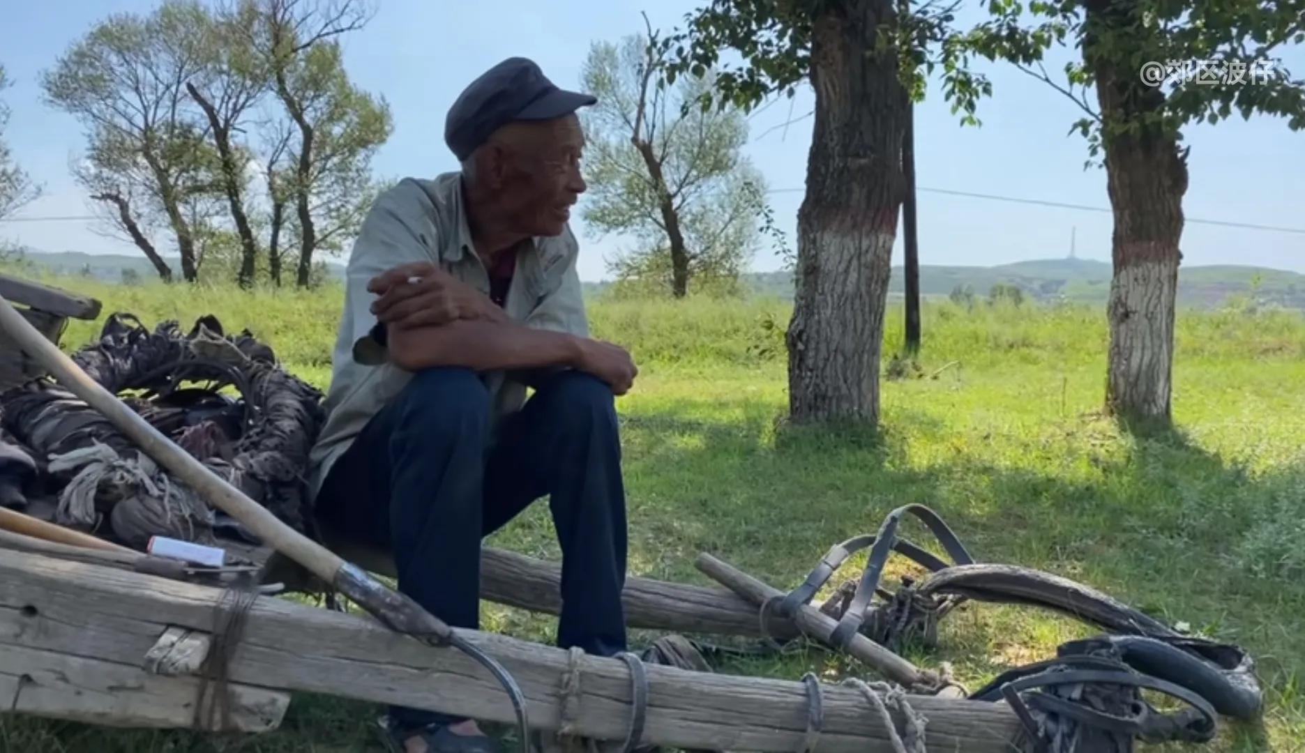 郊区波仔：内蒙深山有人家，牛羊成群人烟少，什么情况