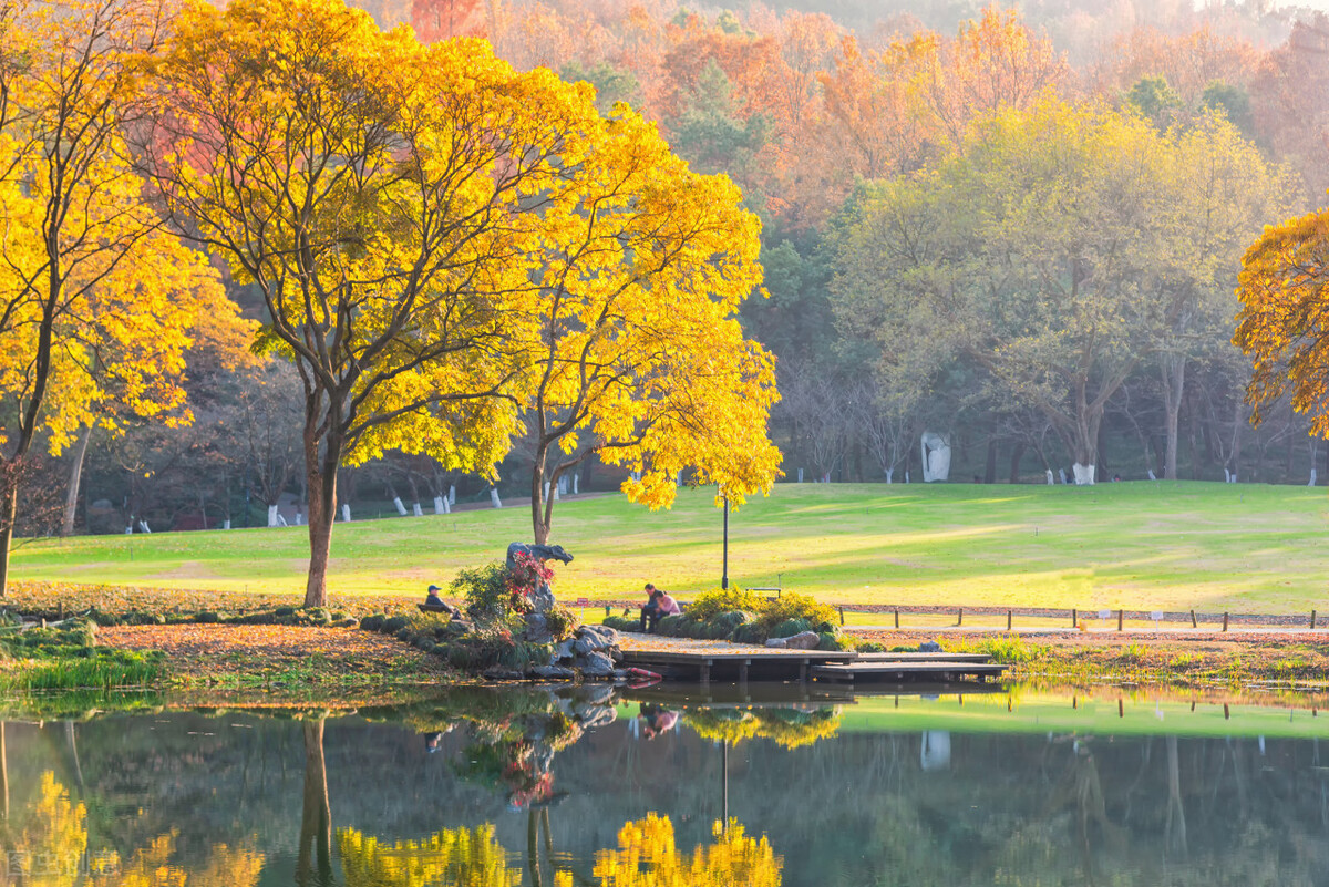 中年婚姻全集视频,中年婚姻全文