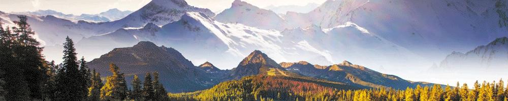 中国高铁与日本高铁耗电,中国高铁耗电远高于日本新干线