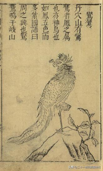 十二生肖的神兽故事,十二生肖神兽故事