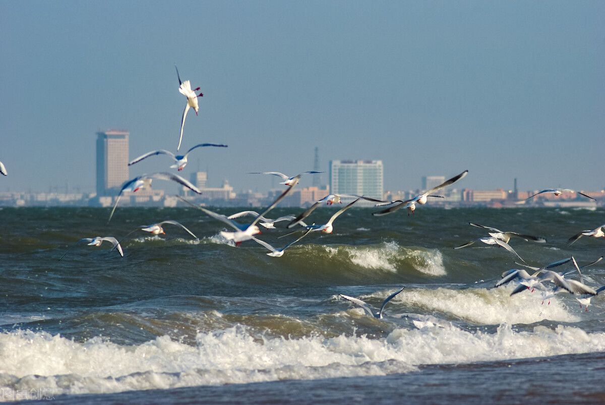 烟台的房子可以入手了么？参考一下我提供的几个依据