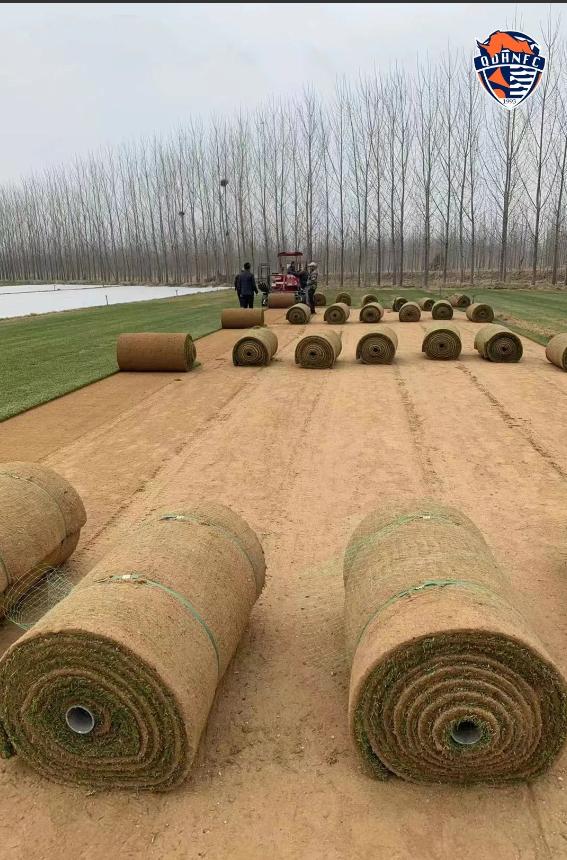 青岛海牛复出,青岛海牛将迎保级最关键一战