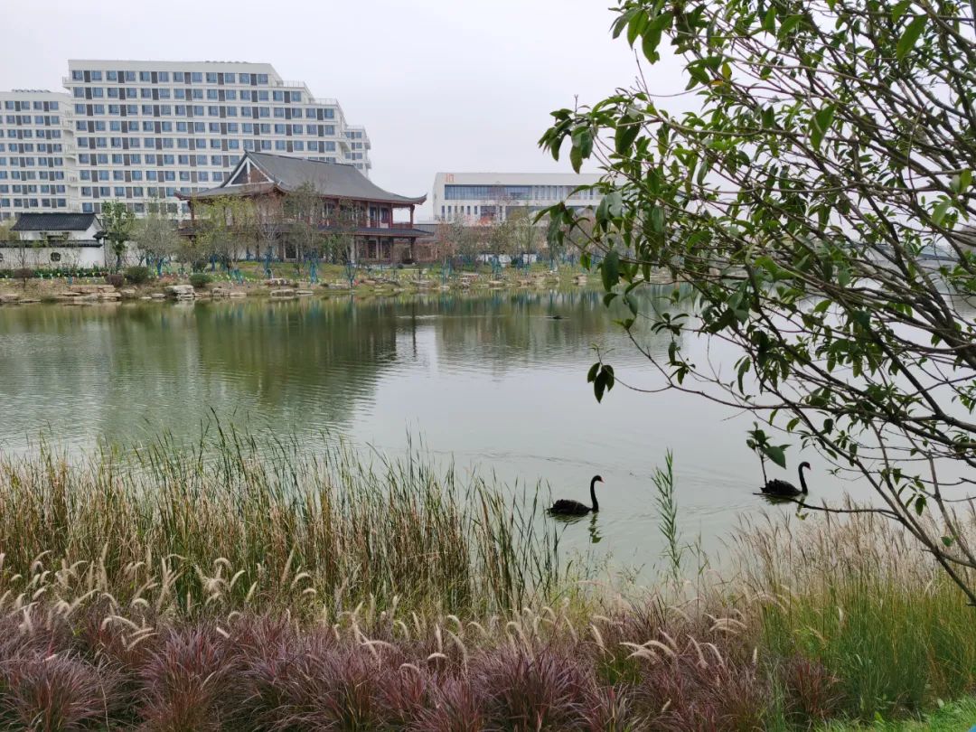 汉字解象（100）评与平