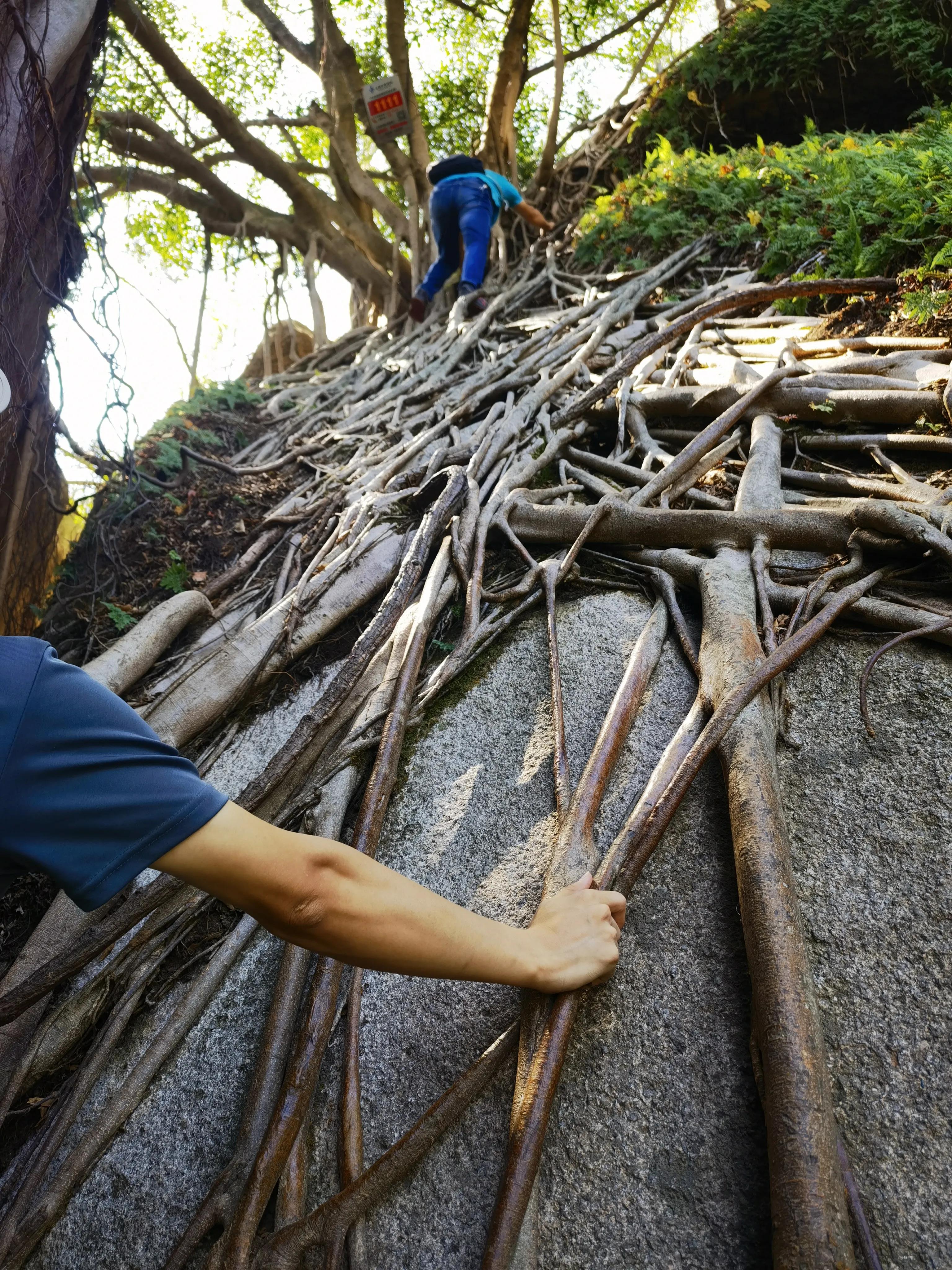 厦门岛内去哪里逛,厦门新年爬山