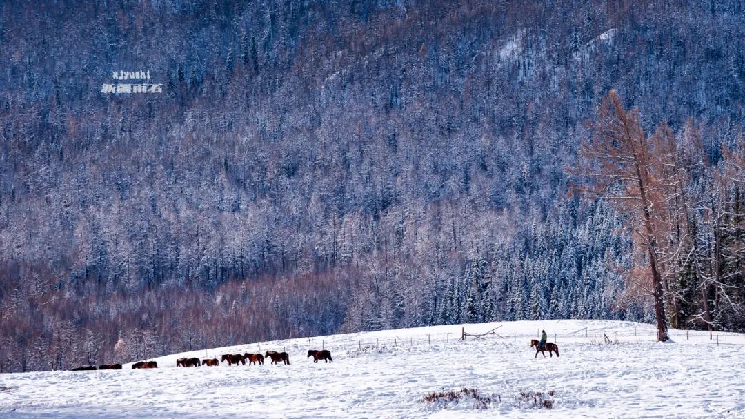 对的时间去对的地方,对的时间和对的人一起旅游