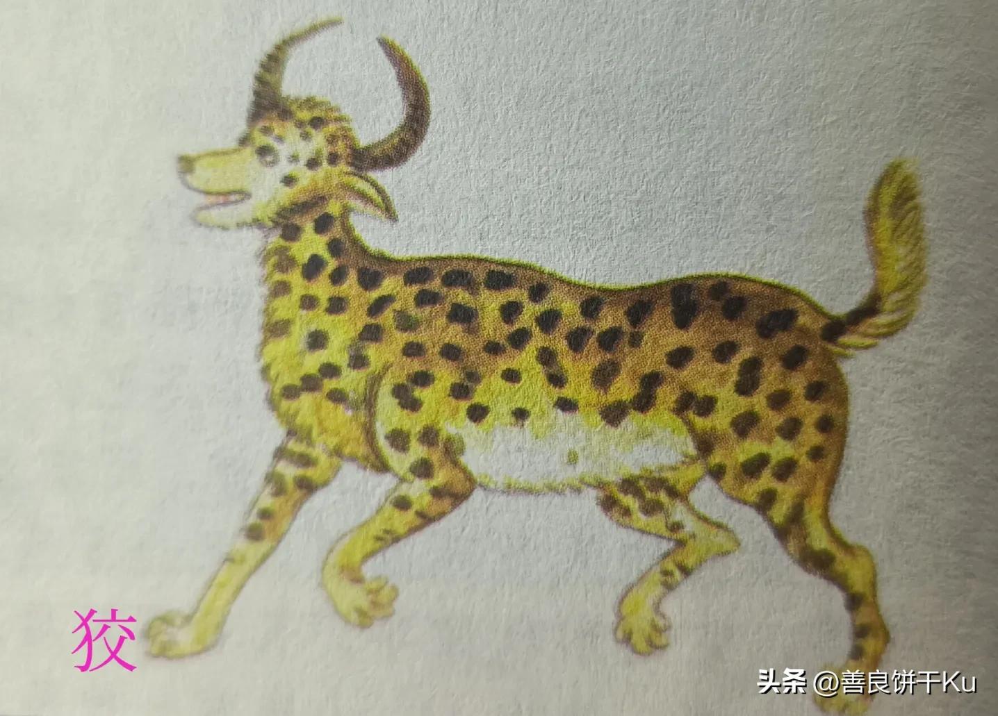 西次三经解读,西次三经什么意思