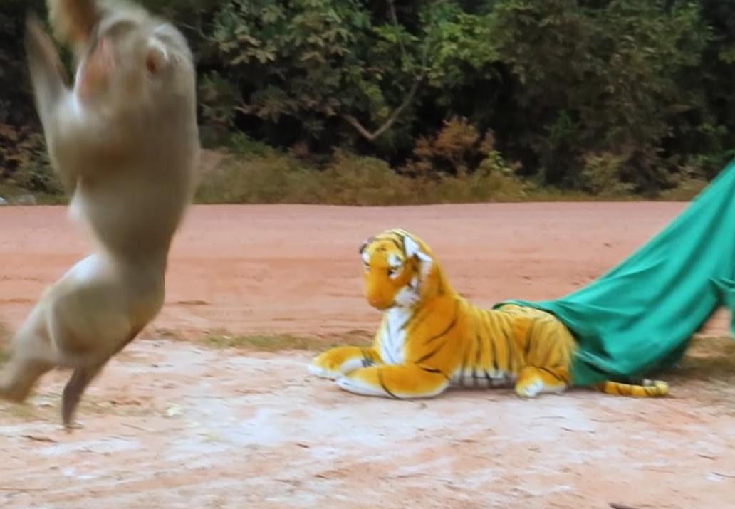 男子把狗吓尿,男子遇到怪物被吓尿