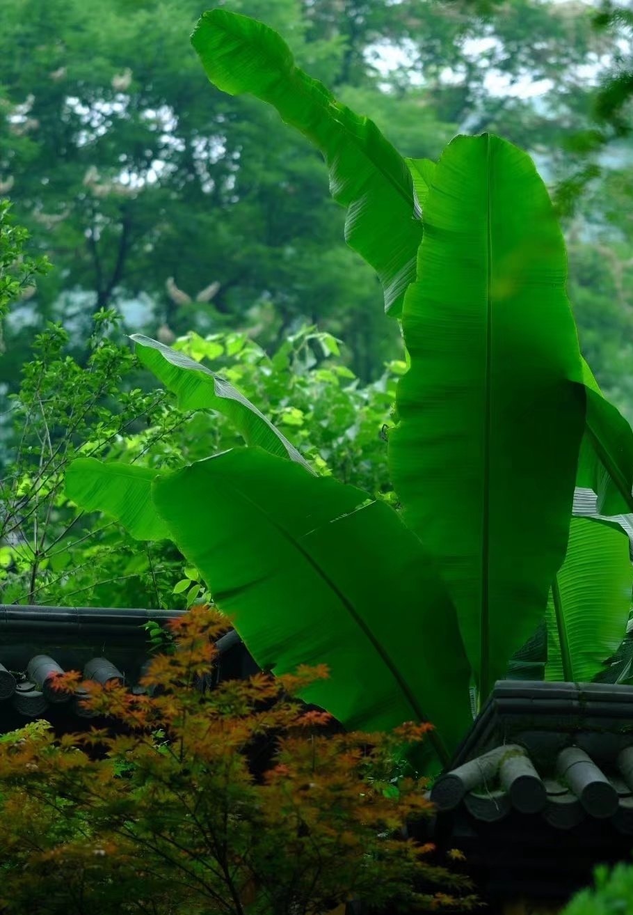 幸福相伴每一位热爱生活的人散文,写给幸福的经典散文