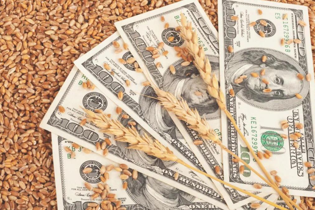 老美出口粮食视频,老美粮食计划