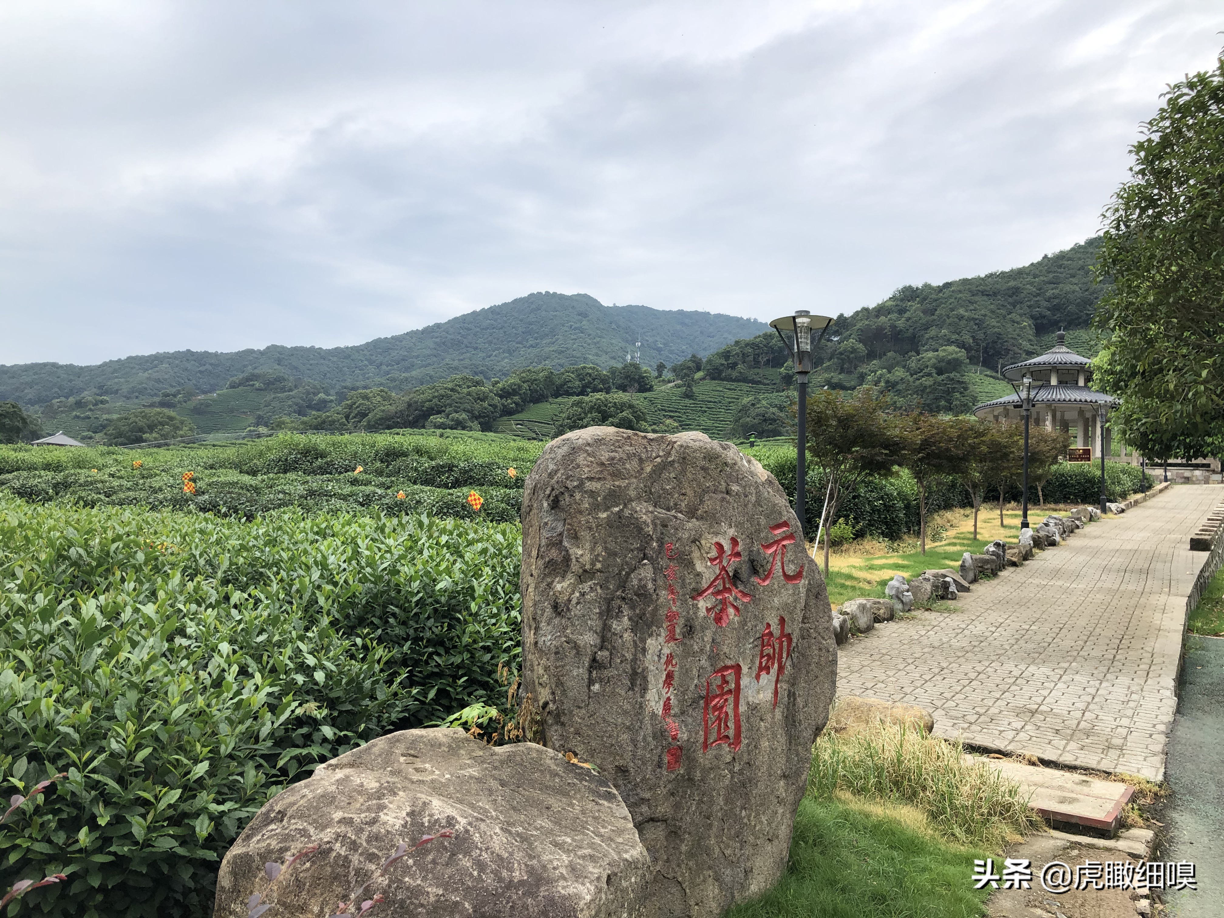 杭州最有名的茶旅,杭州盛产茶的地方有哪些