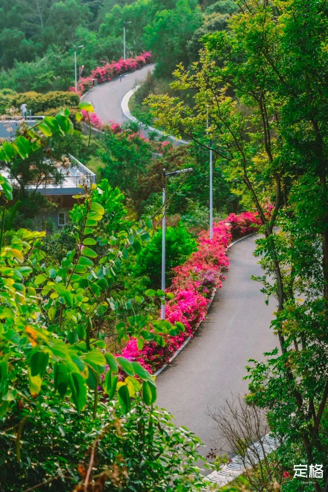 深圳10条入门登山线路推荐,深圳十大山峰最新登山攻略