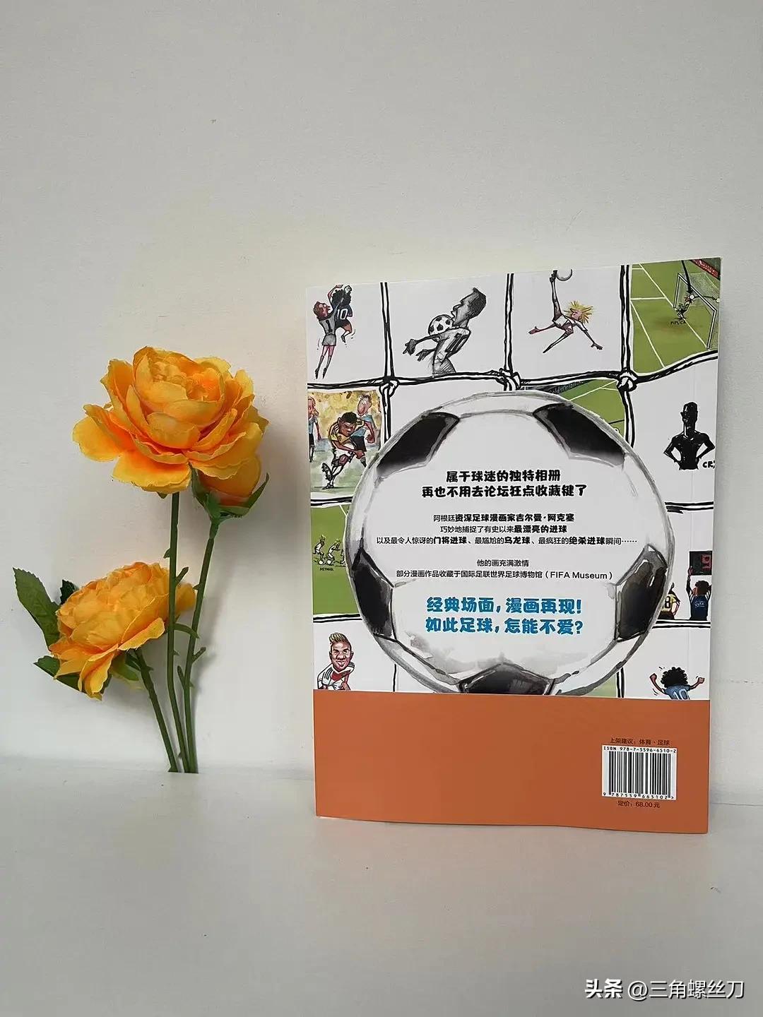 带有讽刺的足球漫画,疯狂的足球片段