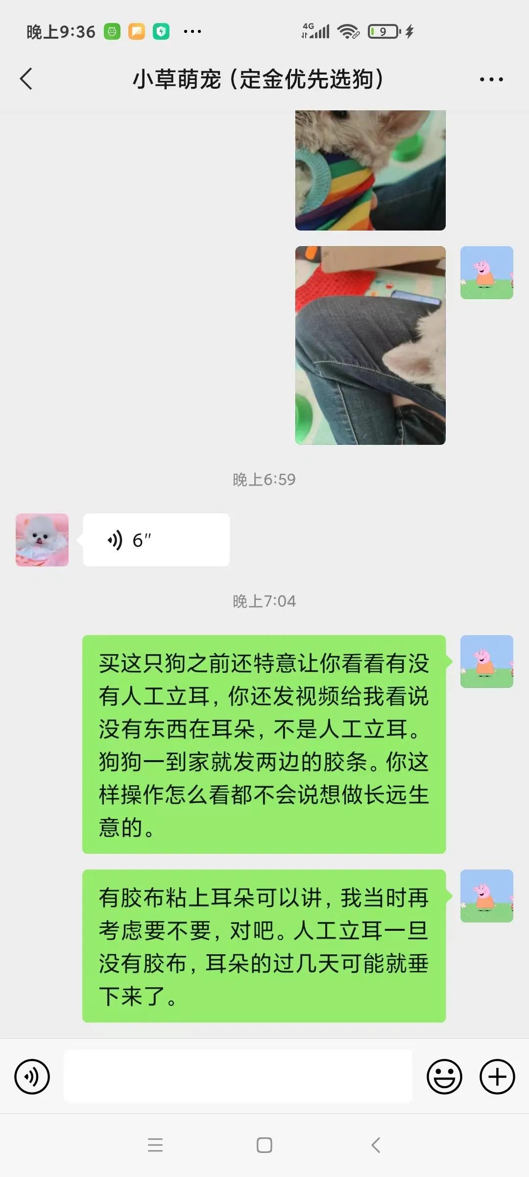 在网上购买宠物被欺骗了怎么办,怎么防止买宠物被骗系列