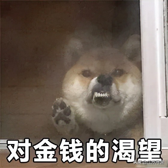 虚假购物消费诈骗案例,虚假购物诈骗套路