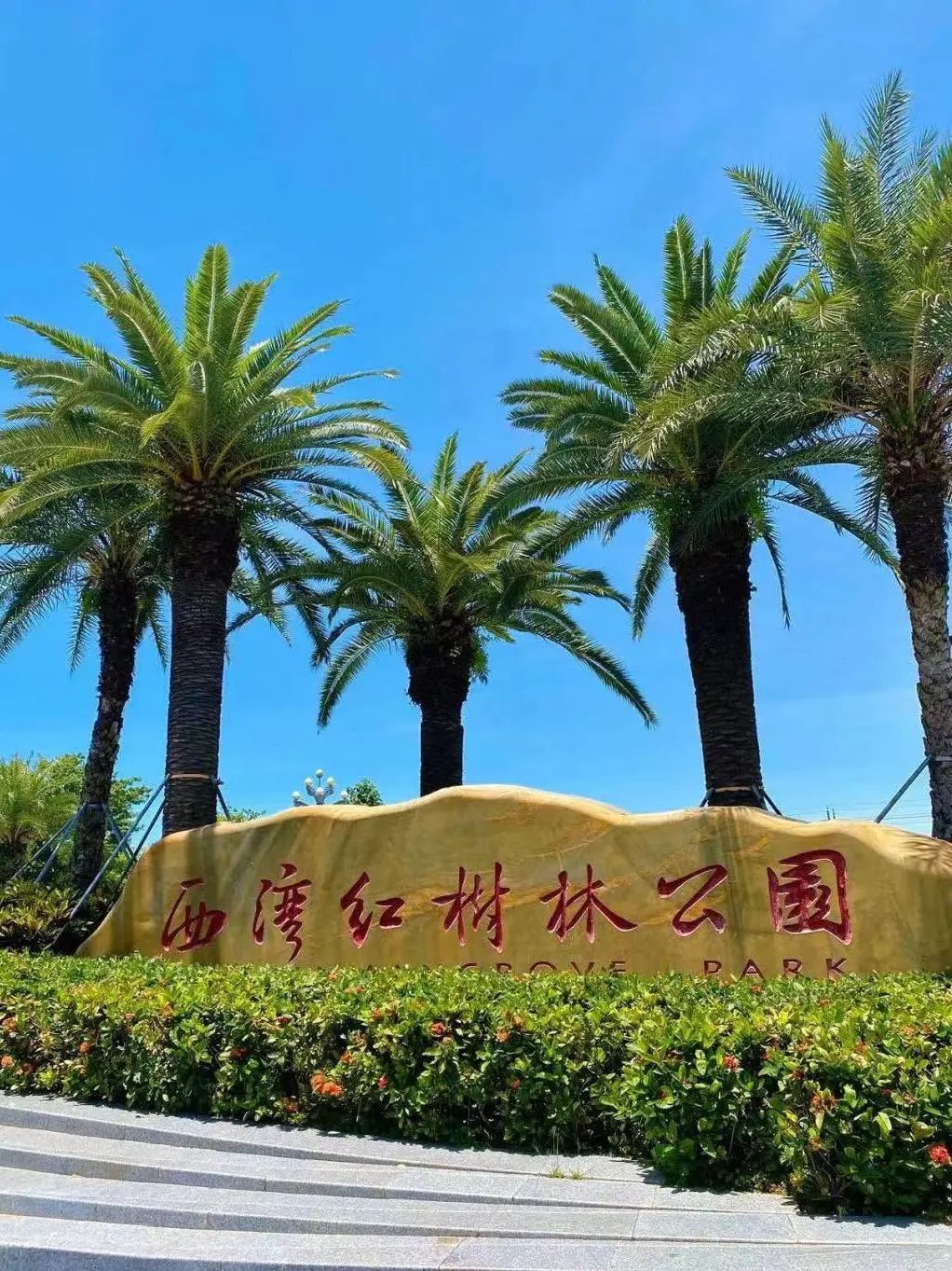 深圳十大最美公园旅游攻略,深圳免费公园景点值得打卡的地方