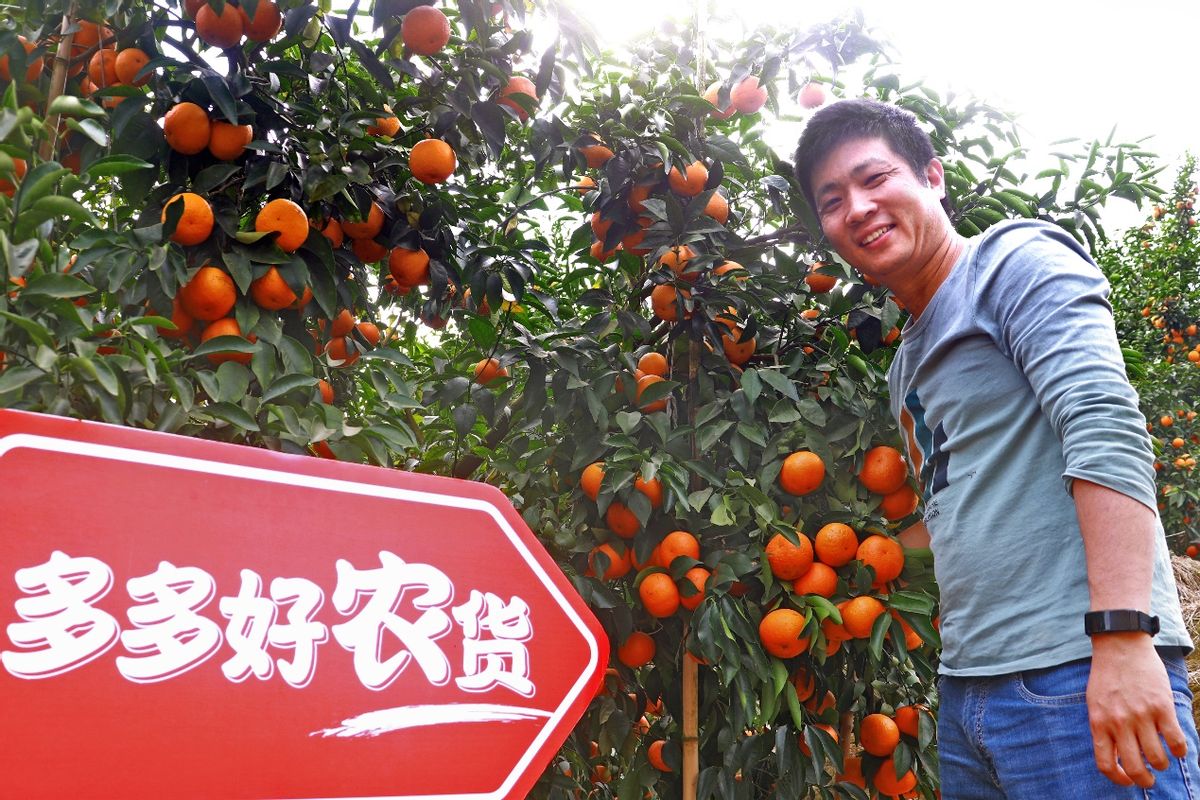 90后返乡新农人,90后新农人回家创业