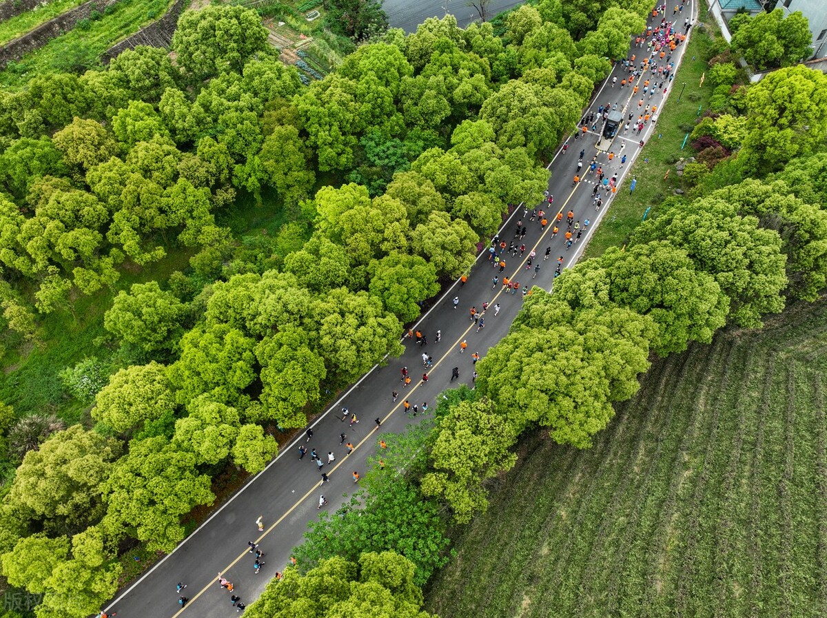 狮子巨蟹处女座运势,狮子座4月24日星座运势