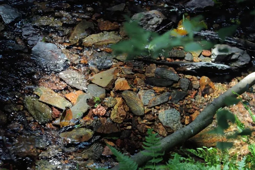 昆明周边世外桃源,最近昆明周边游玩景点推荐一日游