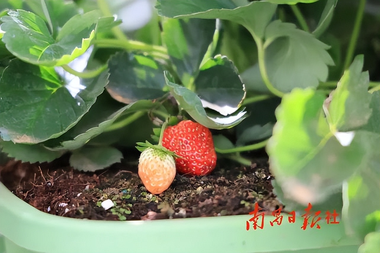 宽创国际完整视频,宽创国际怎么样