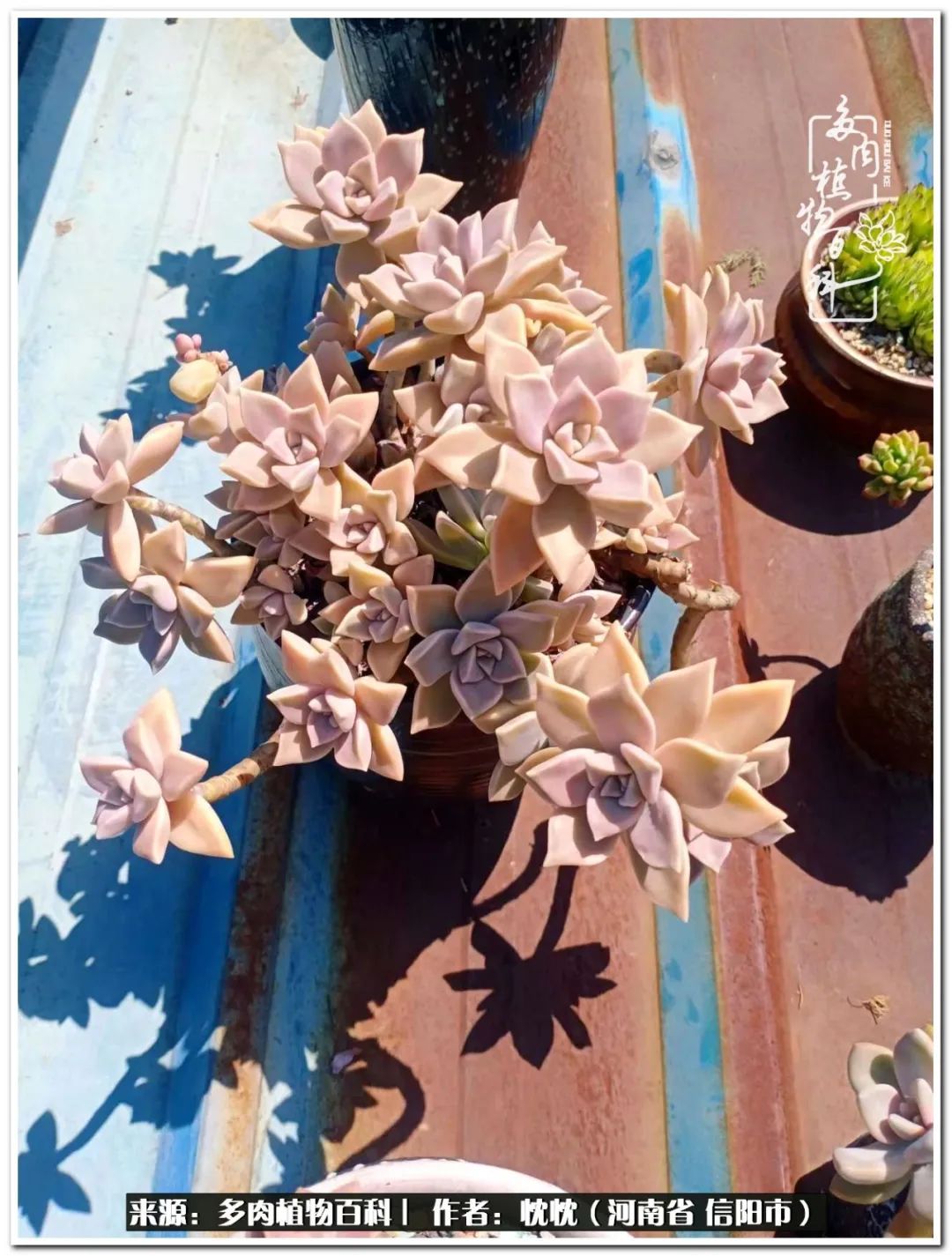 携一人白首择一城终老心之向往,携一人之手择一城终老图片