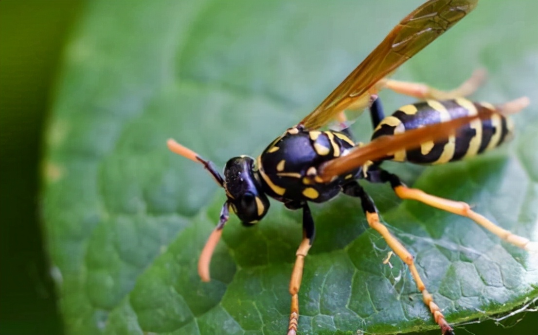 一天挣1000的搬运工,一天赚1000的工作