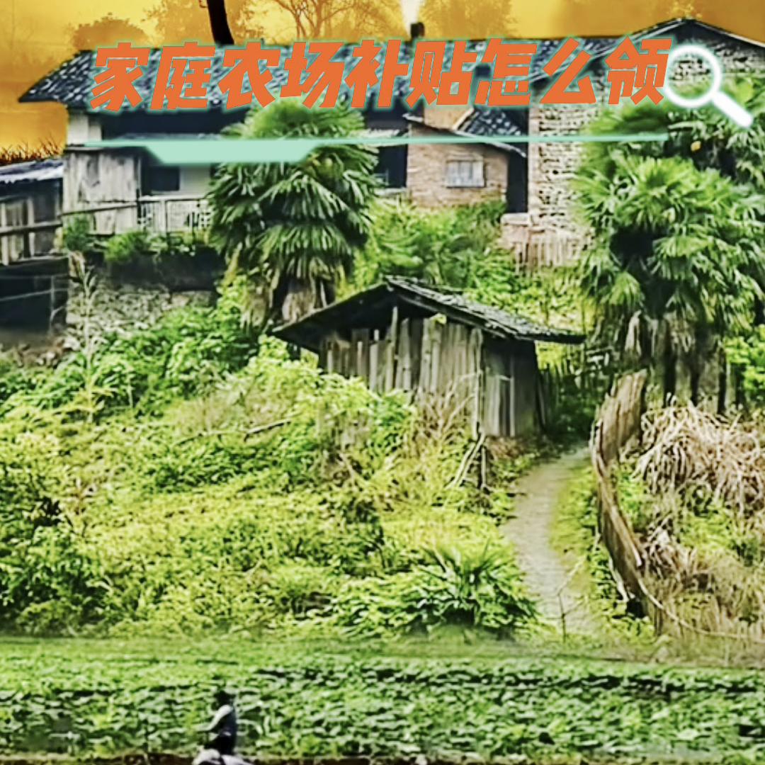家庭农场产业扶持政策有哪些,农业农村发展家庭农场的五大原则