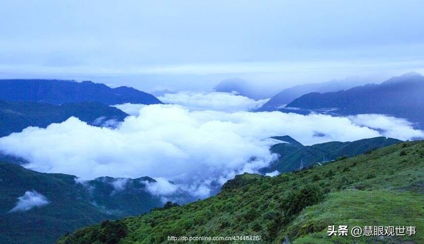 自然现象的古诗词,学生必背古诗词41到60句