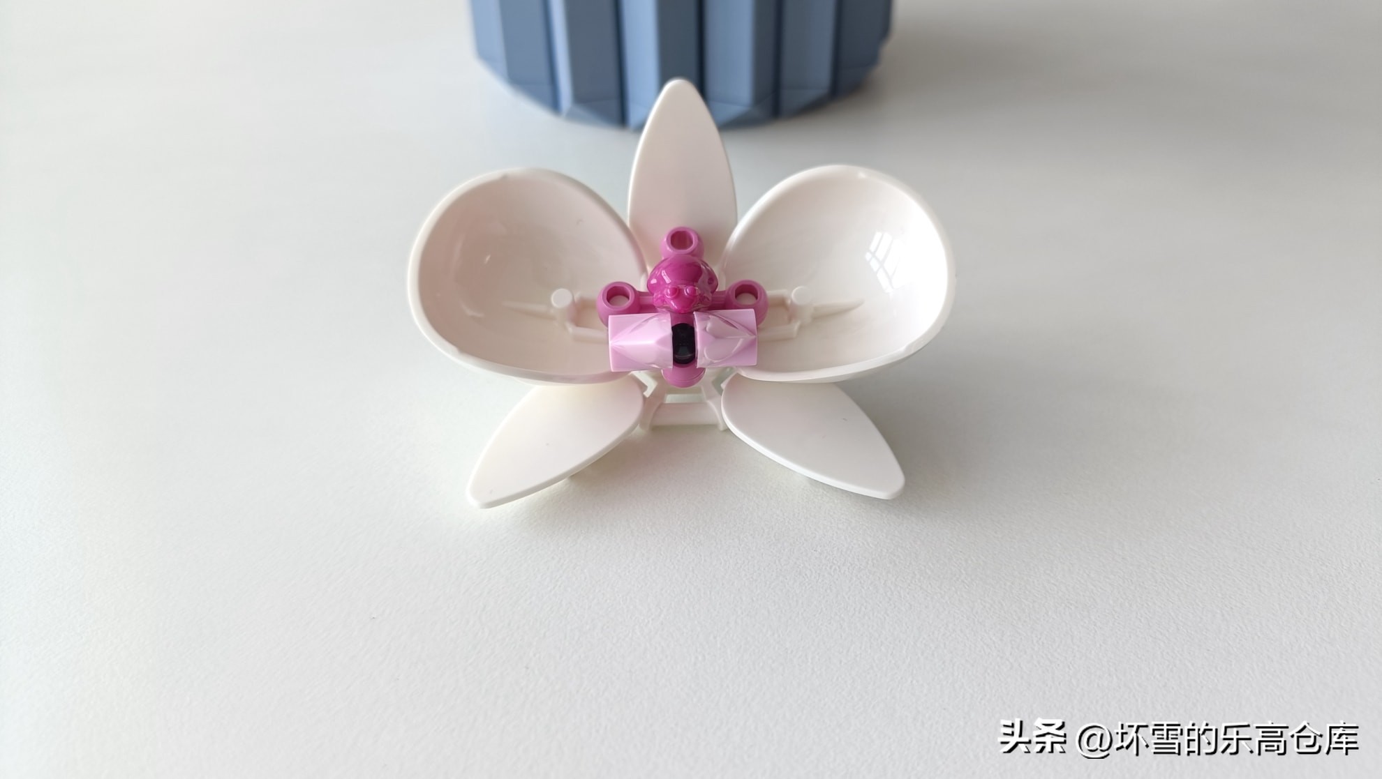 乐高兰花图片及价格,乐高兰花测评